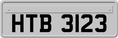 HTB3123