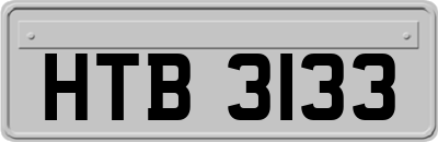 HTB3133