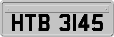 HTB3145