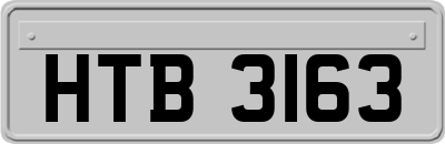 HTB3163