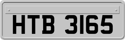 HTB3165