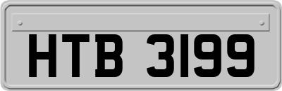 HTB3199