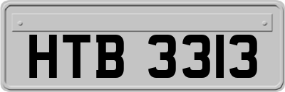 HTB3313