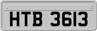 HTB3613