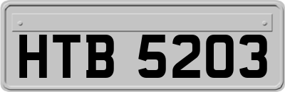HTB5203