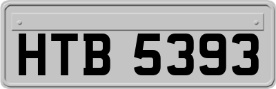 HTB5393