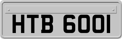 HTB6001