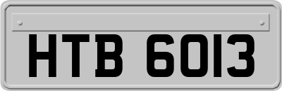 HTB6013