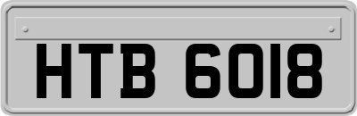 HTB6018