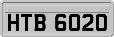 HTB6020