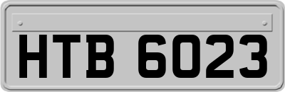 HTB6023
