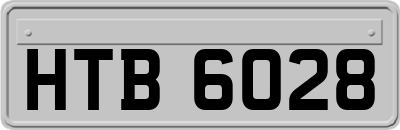 HTB6028