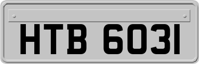 HTB6031