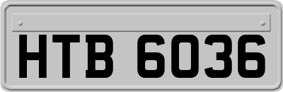 HTB6036