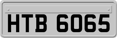 HTB6065