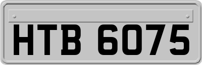 HTB6075