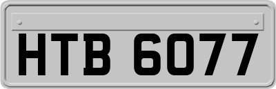 HTB6077