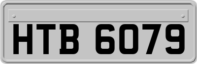 HTB6079