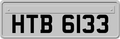 HTB6133