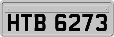 HTB6273