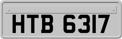HTB6317