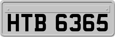 HTB6365