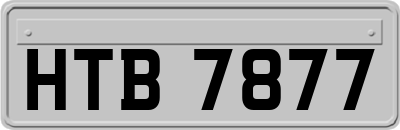 HTB7877