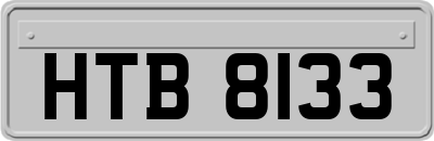 HTB8133