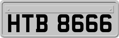 HTB8666