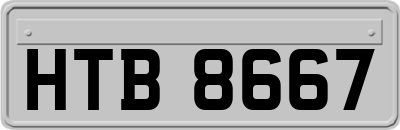 HTB8667