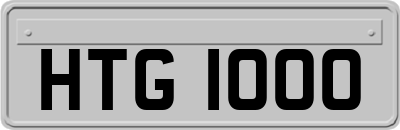 HTG1000