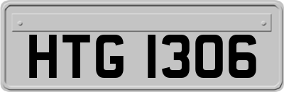 HTG1306