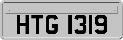 HTG1319