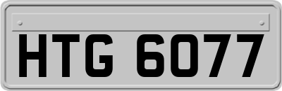 HTG6077