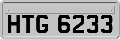 HTG6233