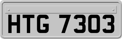 HTG7303