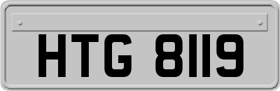 HTG8119