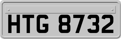 HTG8732