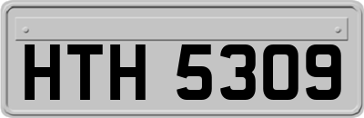HTH5309