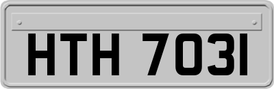 HTH7031