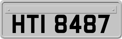 HTI8487