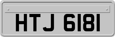 HTJ6181
