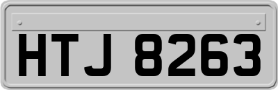 HTJ8263