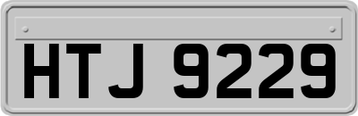 HTJ9229