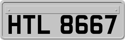 HTL8667