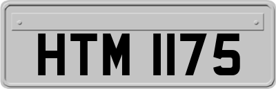 HTM1175