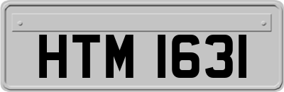 HTM1631