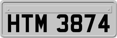 HTM3874