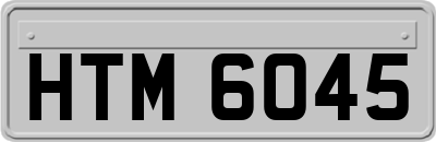 HTM6045