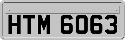 HTM6063
